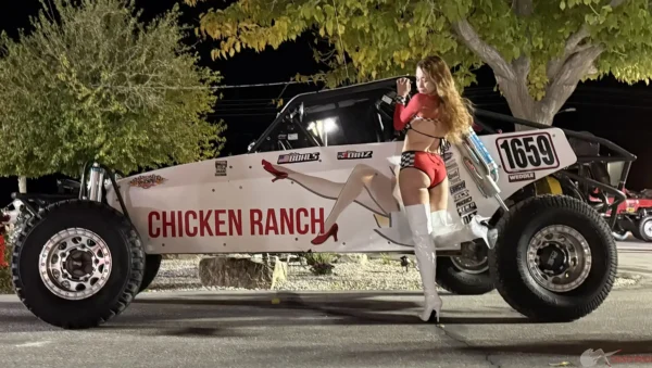 Autumn Rain Legal NV Brothel